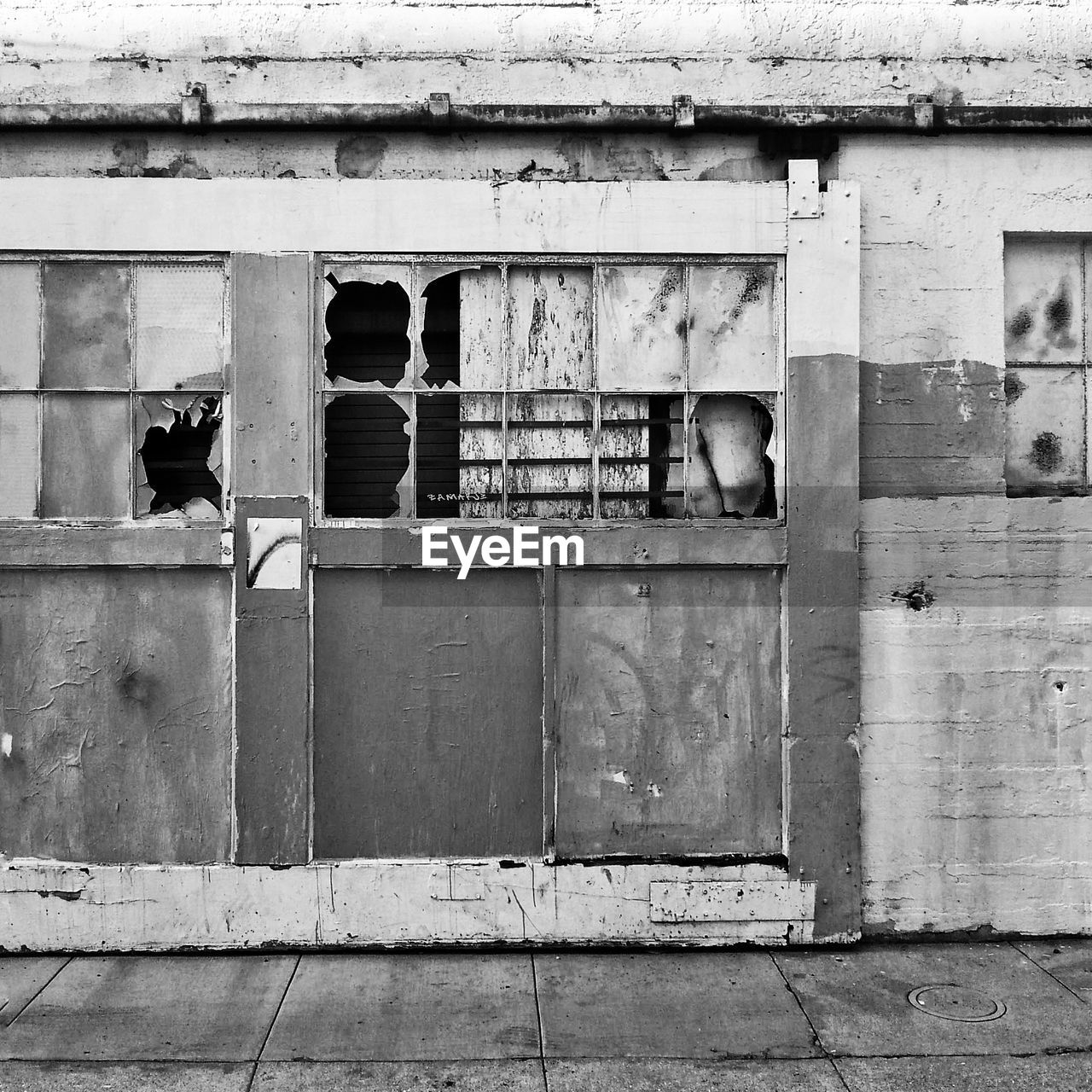 BIRD PERCHING ON WALL