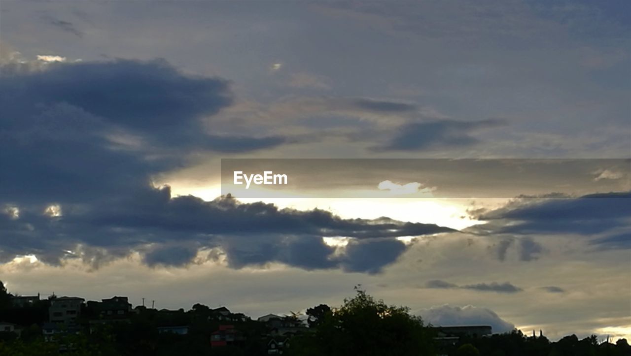 SCENIC VIEW OF SILHOUETTE TREES AGAINST SKY