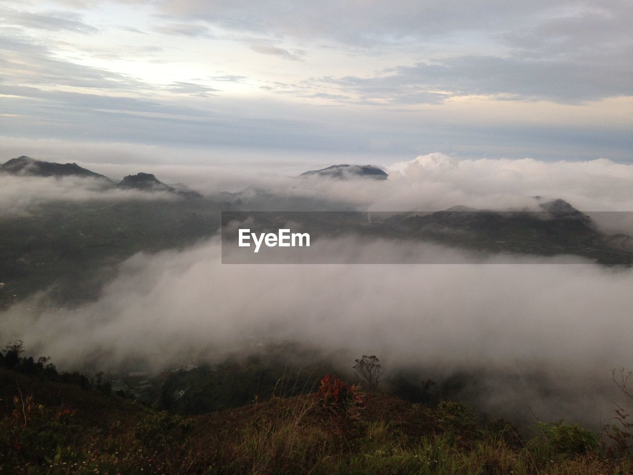 Cloud in prau mountain