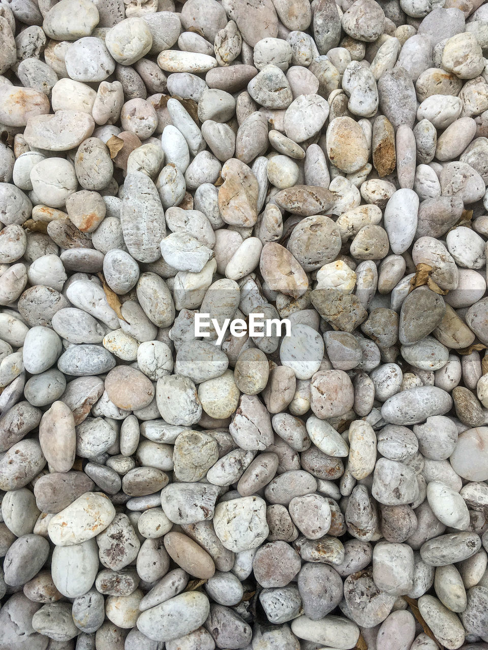 The texture of small white stones.