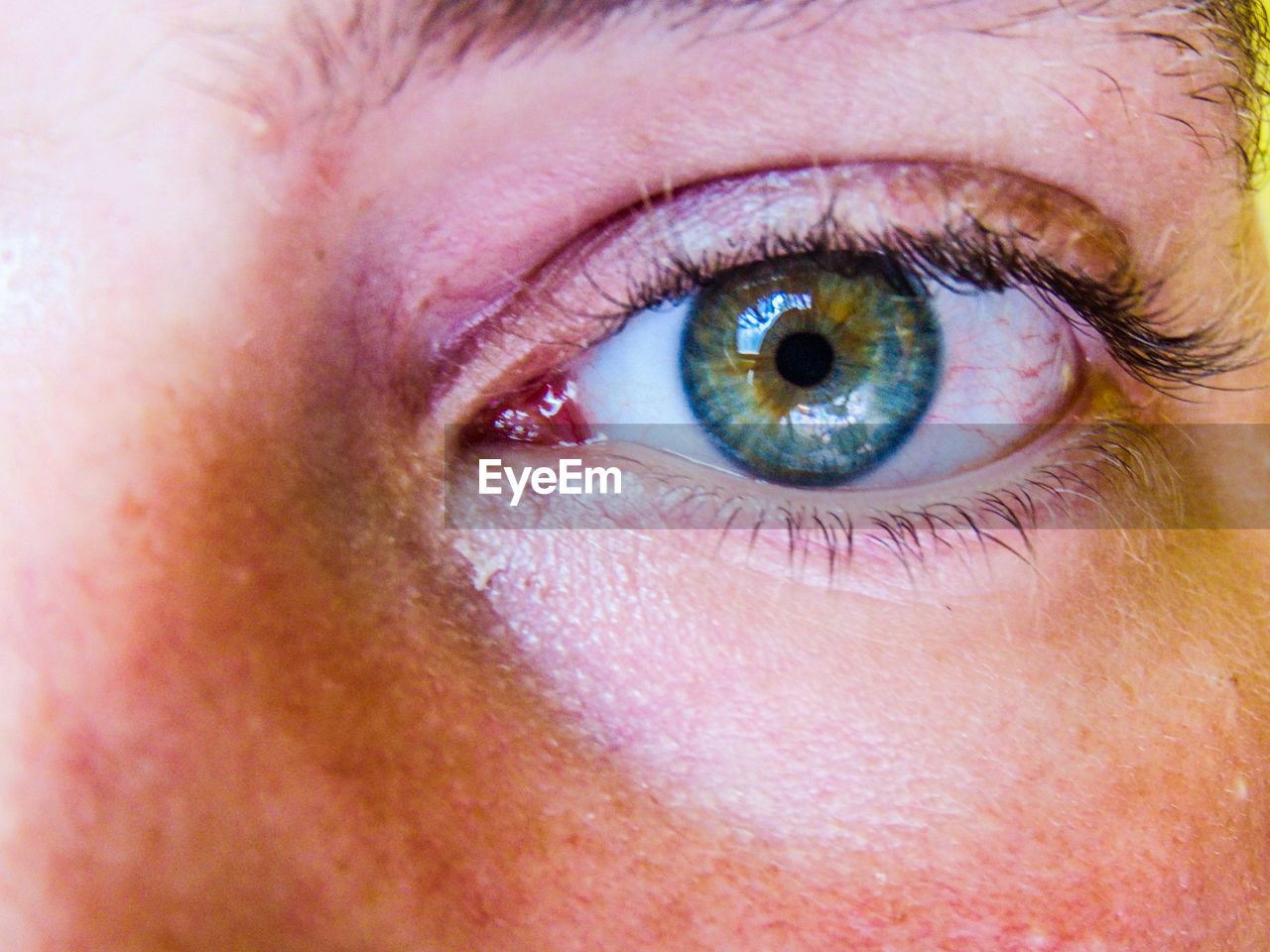 cropped image of man eye