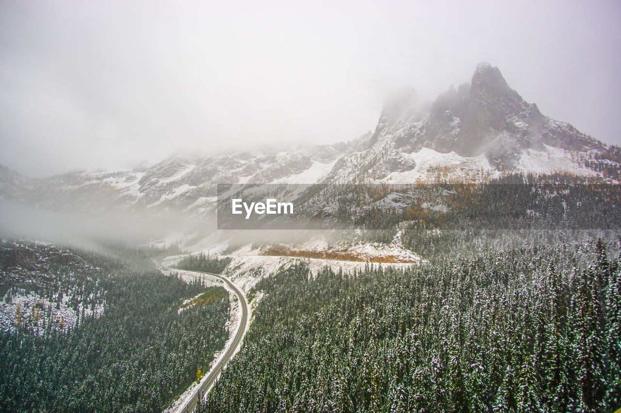 Trees and mountain during winter at cascades national park