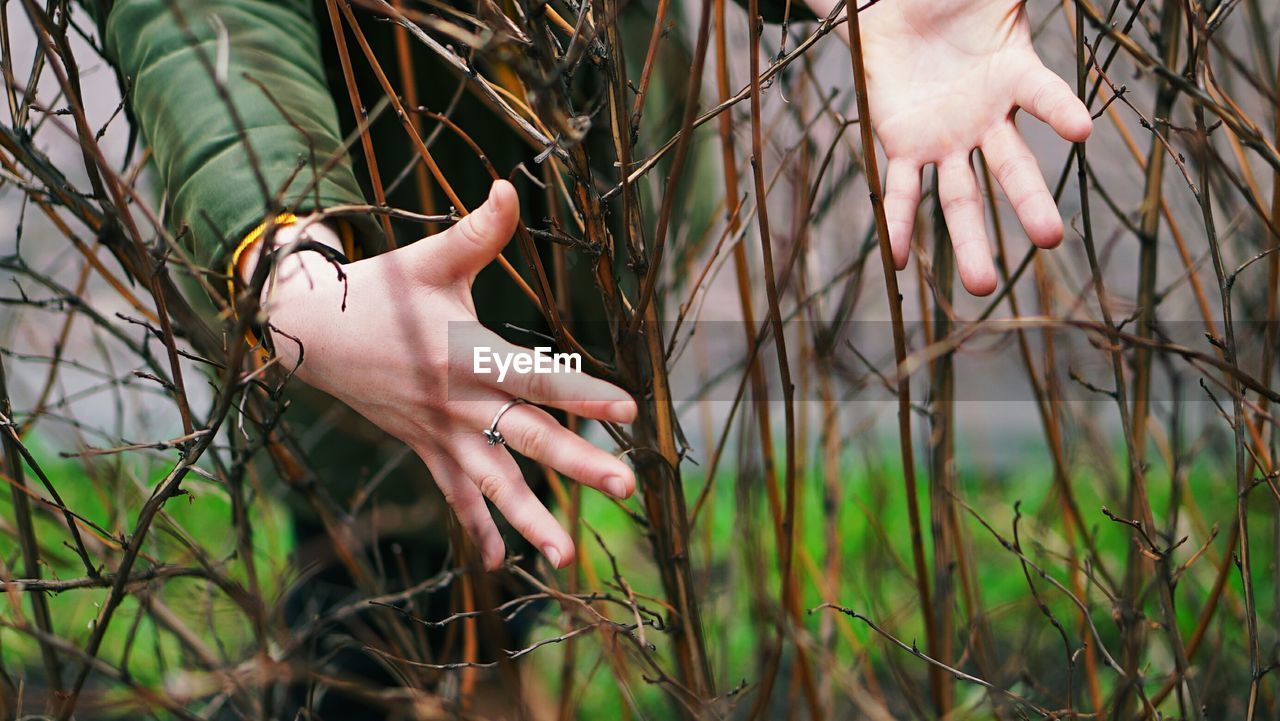 Midsection of woman amidst dried plants on field