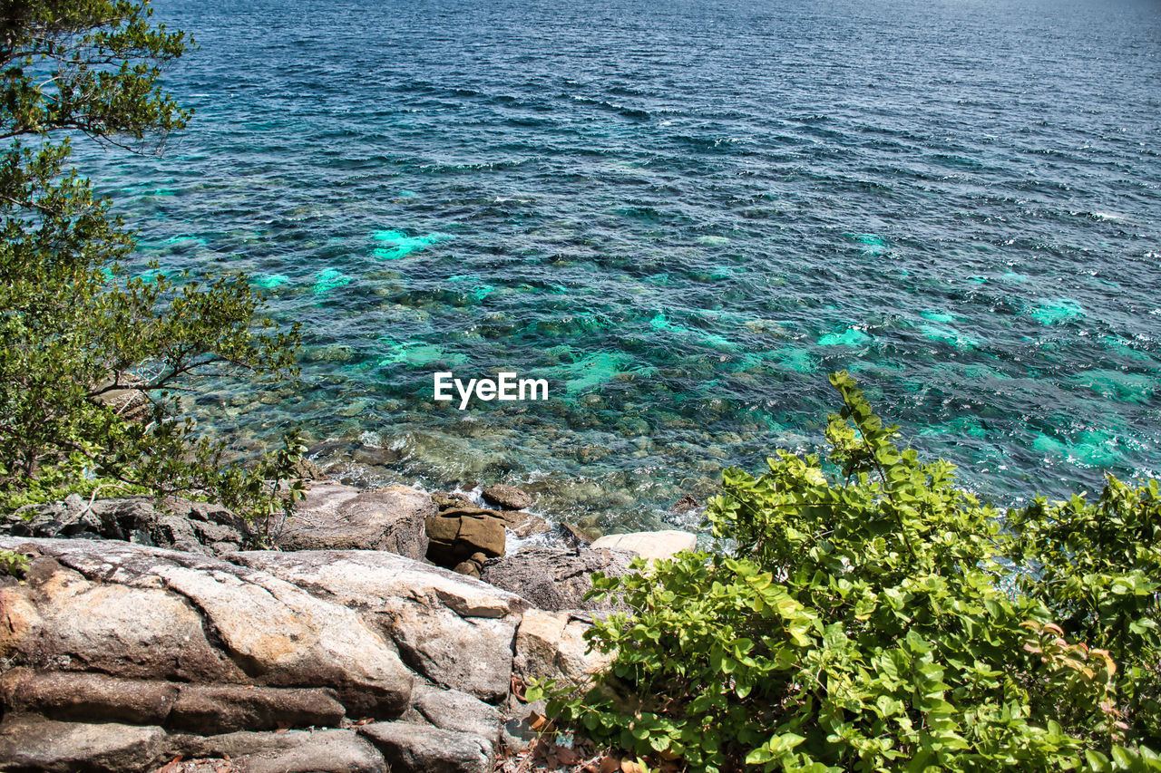 water, beauty in nature, sea, scenics - nature, tranquility, nature, rock, day, tranquil scene, land, no people, plant, body of water, high angle view, shore, coast, idyllic, beach, blue, outdoors, tree, non-urban scene, sunlight, growth, terrain, ocean, cliff