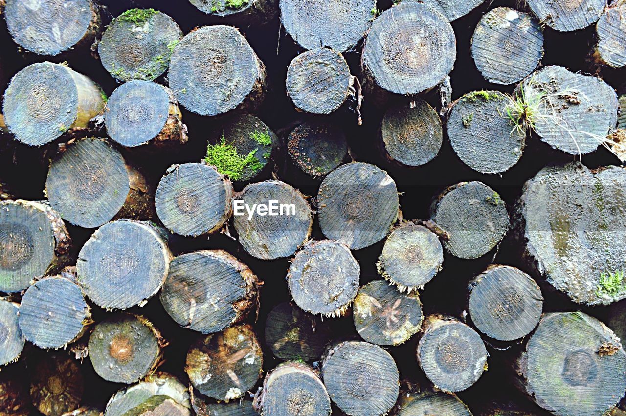 Full frame shot of wooden logs