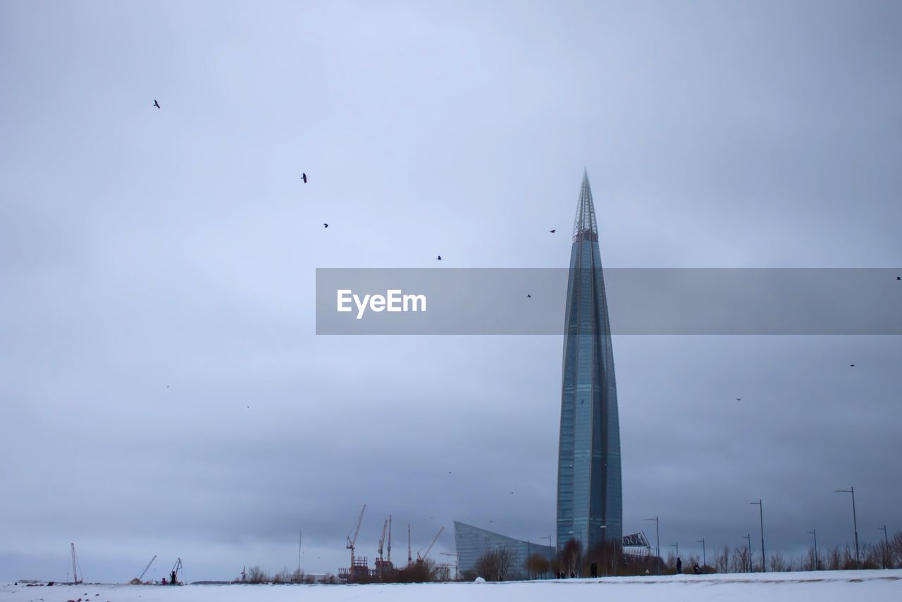 BIRDS FLYING IN SKY