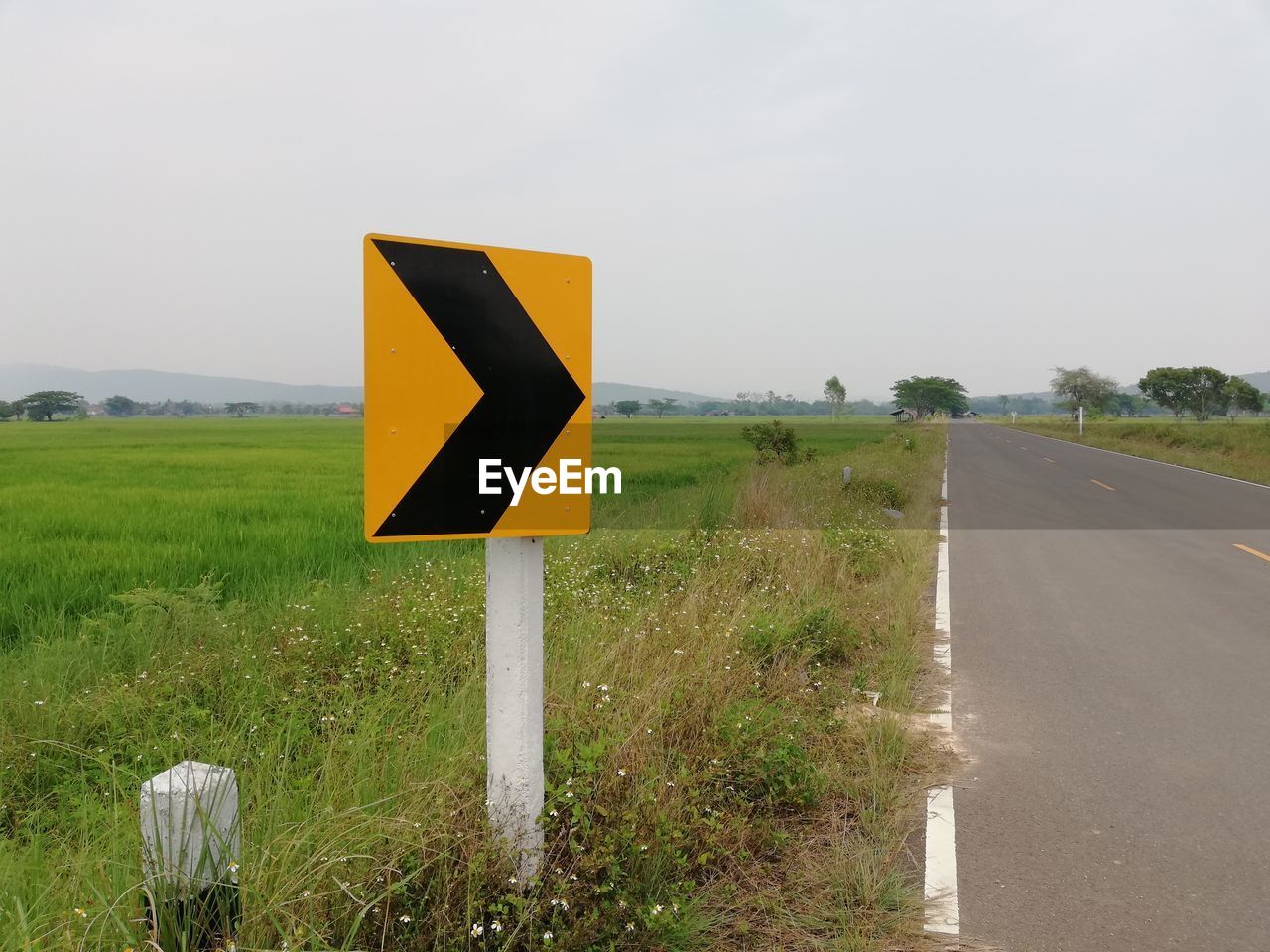 ROAD SIGN ON FIELD