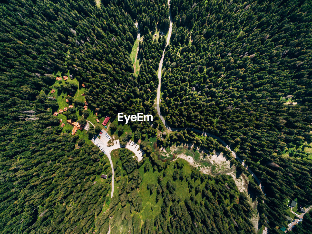 HIGH ANGLE VIEW OF TREES GROWING IN FARM