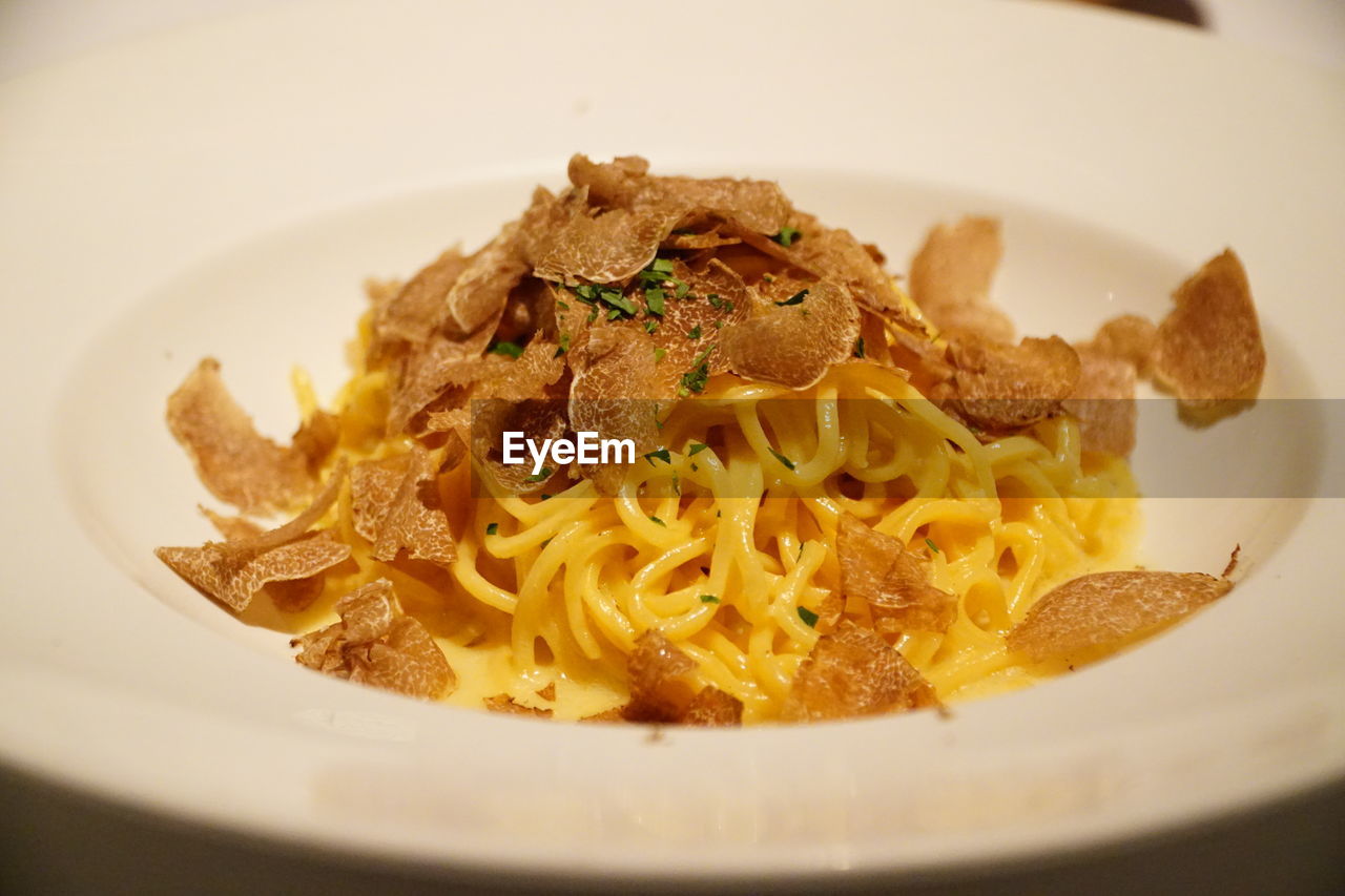 Close-up of meal served in plate