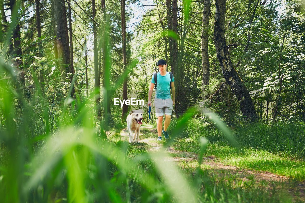 Man walking with dog in forest