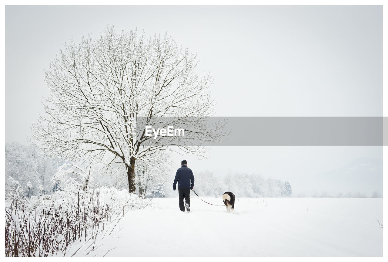 Rear view of man walking dog on snowy field