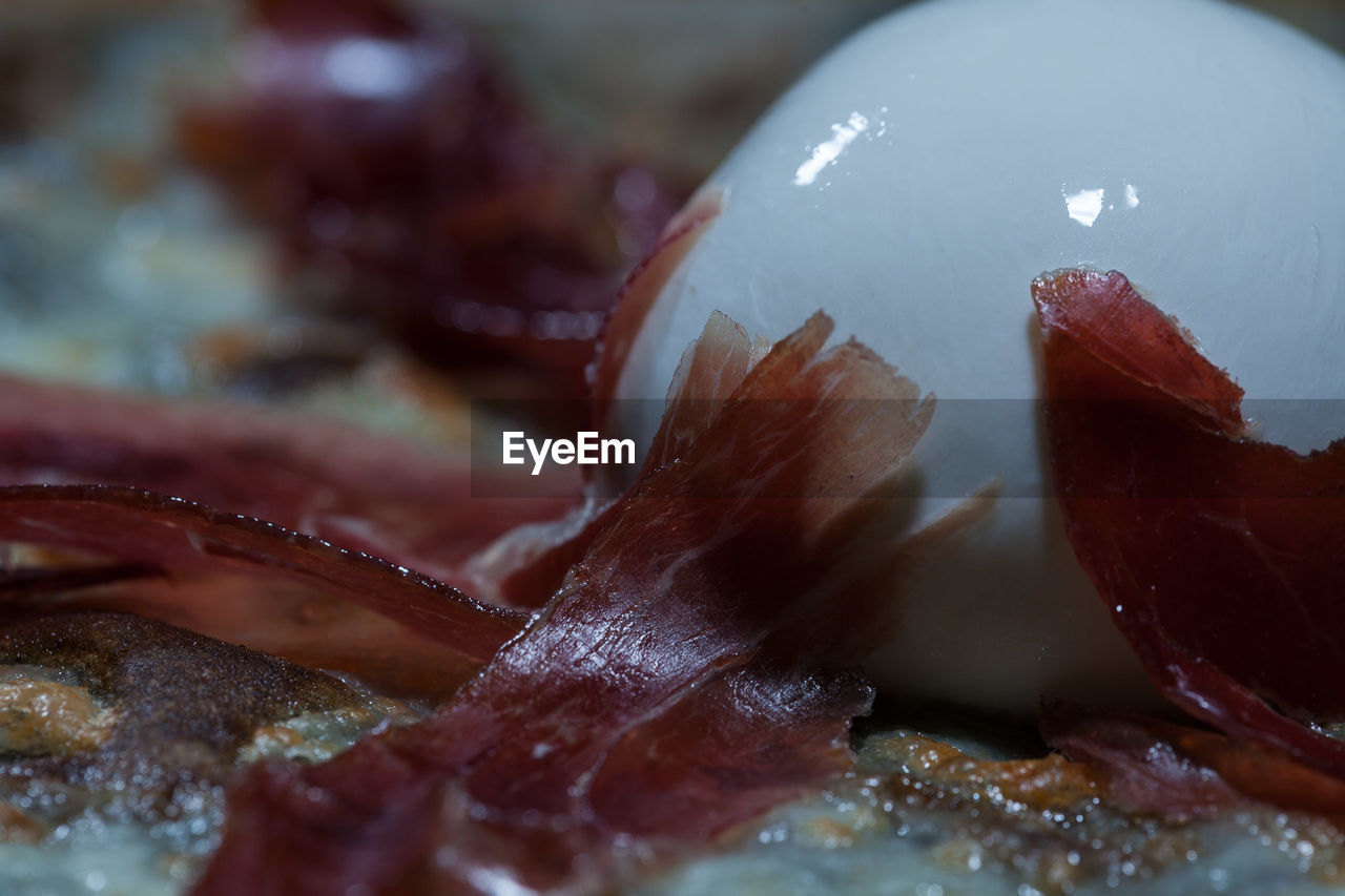 CLOSE-UP VIEW OF FOOD