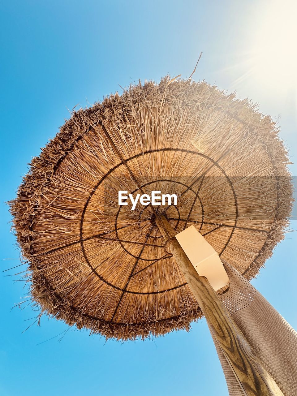 sky, nature, blue, clear sky, no people, close-up, low angle view, wind, outdoors, leaf, environment, sunny, day, tree, macro photography, sunlight
