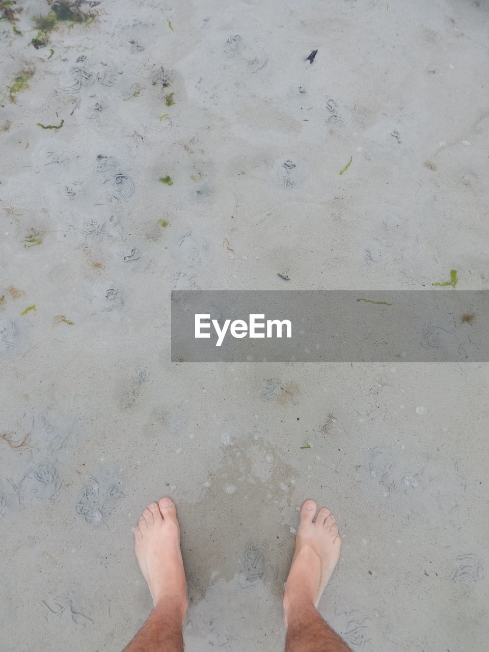 Low section of man standing on beach