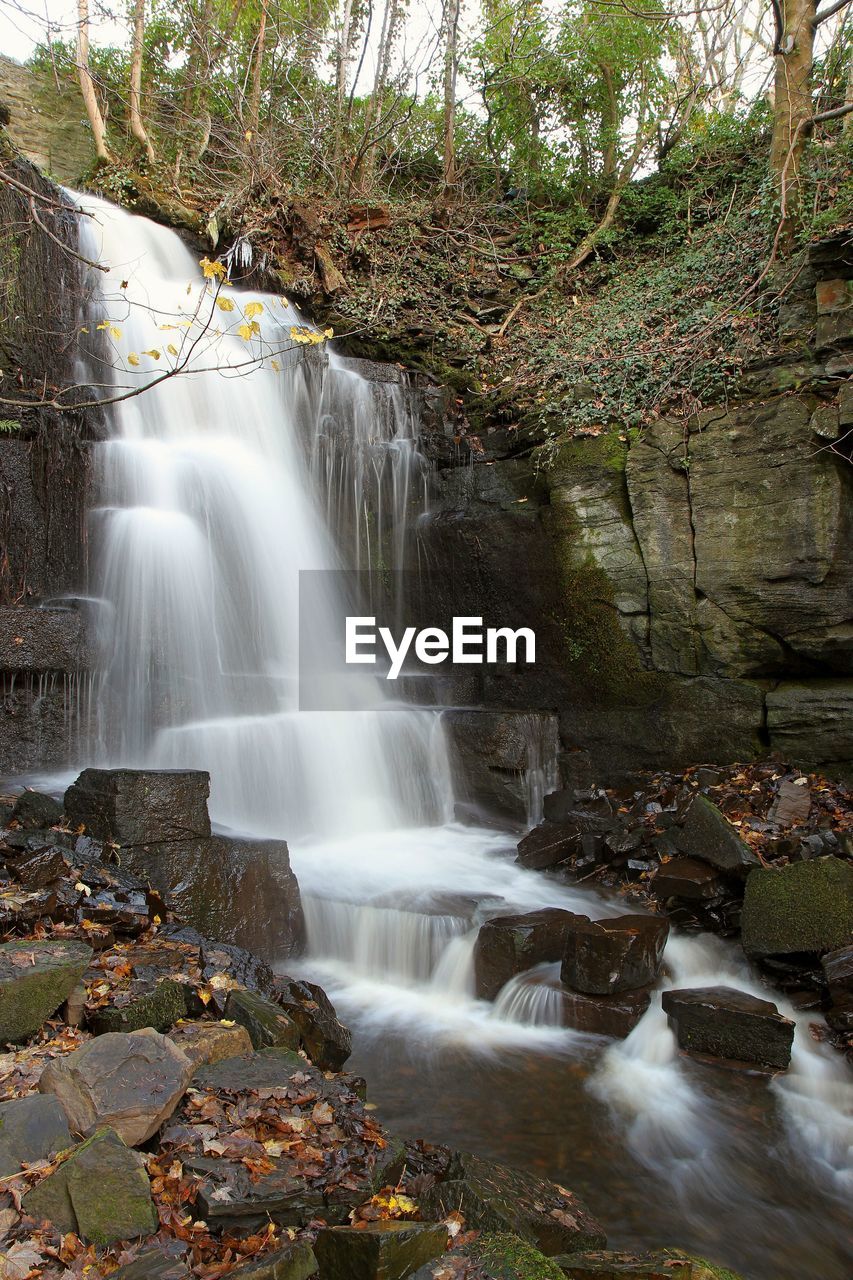 WATERFALL IN A FOREST