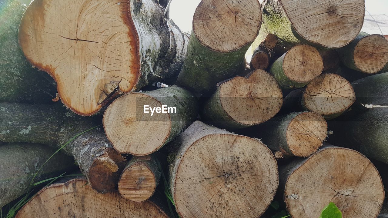 Full frame shot of logs in forest