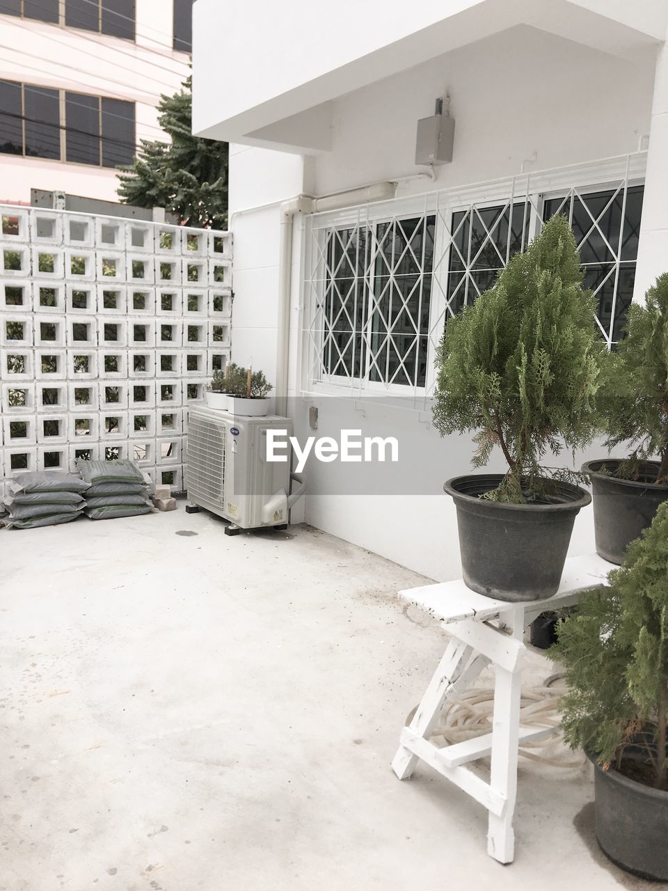 POTTED PLANTS ON TABLE BY BUILDING