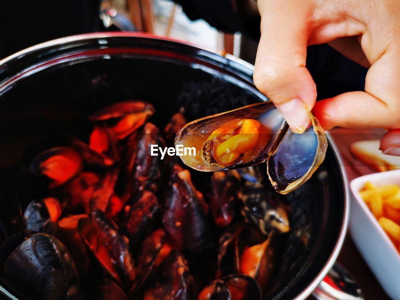 Close-up of person preparing food seashells 