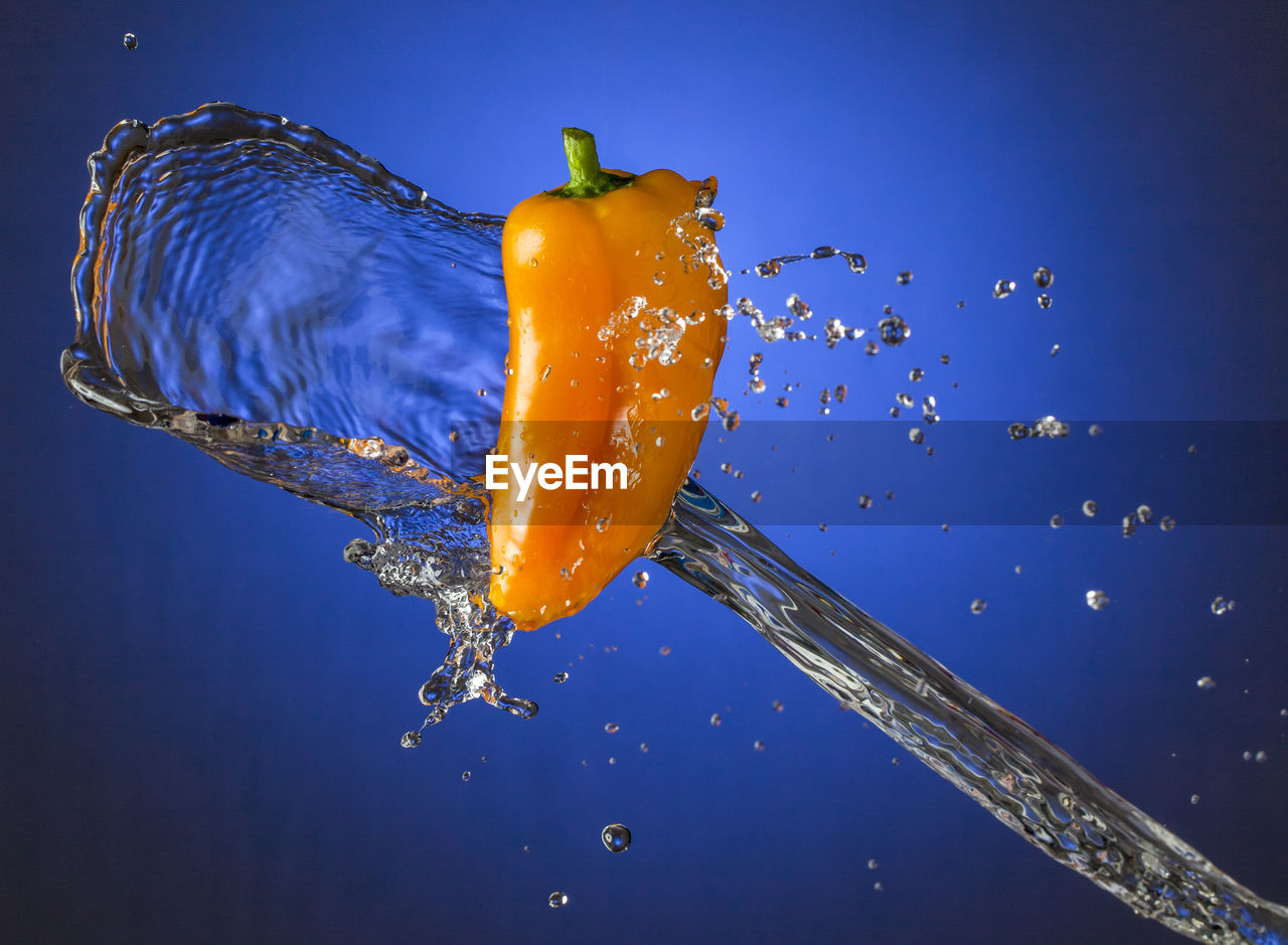 CLOSE-UP OF WATER DROPS ON ORANGE BLUE FLOWER