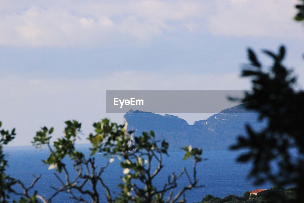 SCENIC VIEW OF TREES AGAINST SKY