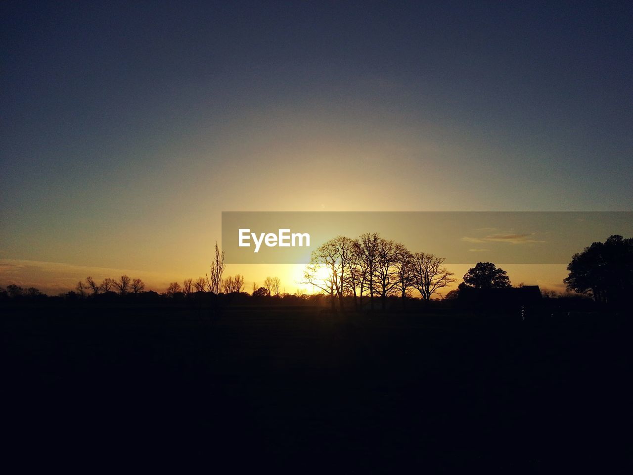 sky, silhouette, tree, sunset, plant, tranquility, beauty in nature, dawn, scenics - nature, tranquil scene, landscape, nature, no people, horizon, environment, cloud, evening, afterglow, copy space, idyllic, sunlight, land, non-urban scene, field, outdoors, orange color, sun, growth, rural scene