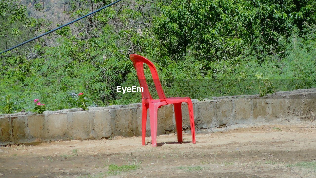 EMPTY CHAIR AGAINST TREES