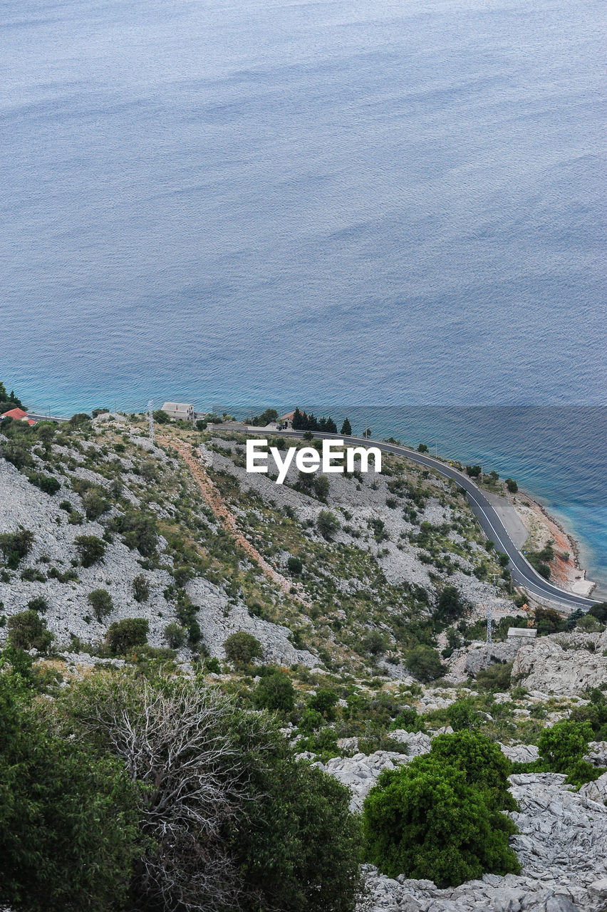 HIGH ANGLE VIEW OF SEA AND TREES