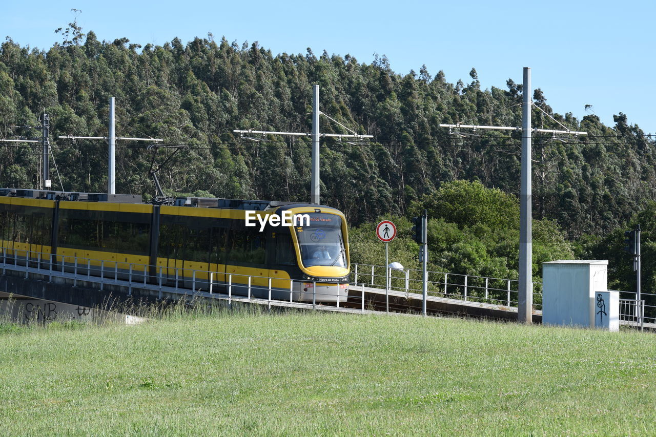 TRAIN BY TREES ON FIELD