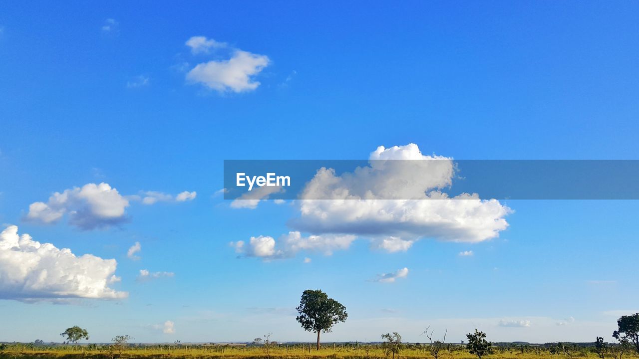 Panoramic view of landscape against blue sky