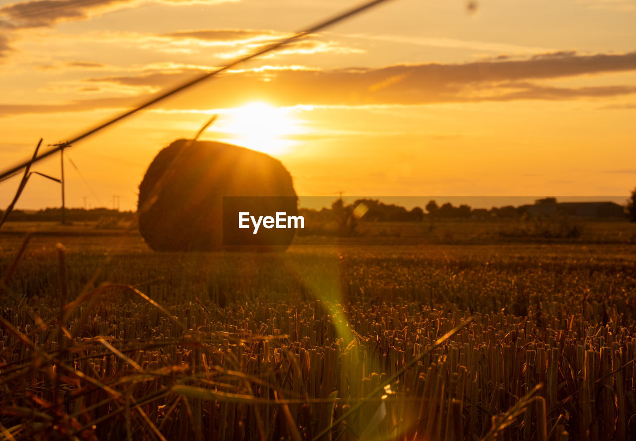 Scenic view of field against sky during sunset