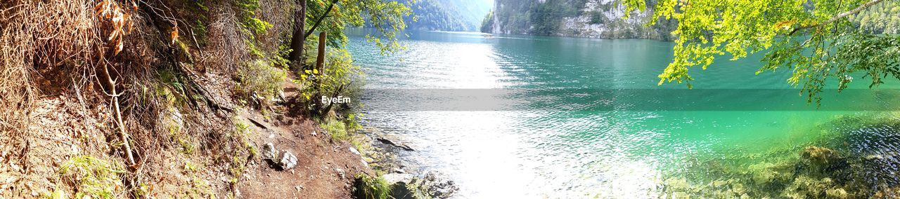 SCENIC VIEW OF RIVER FLOWING THROUGH FOREST