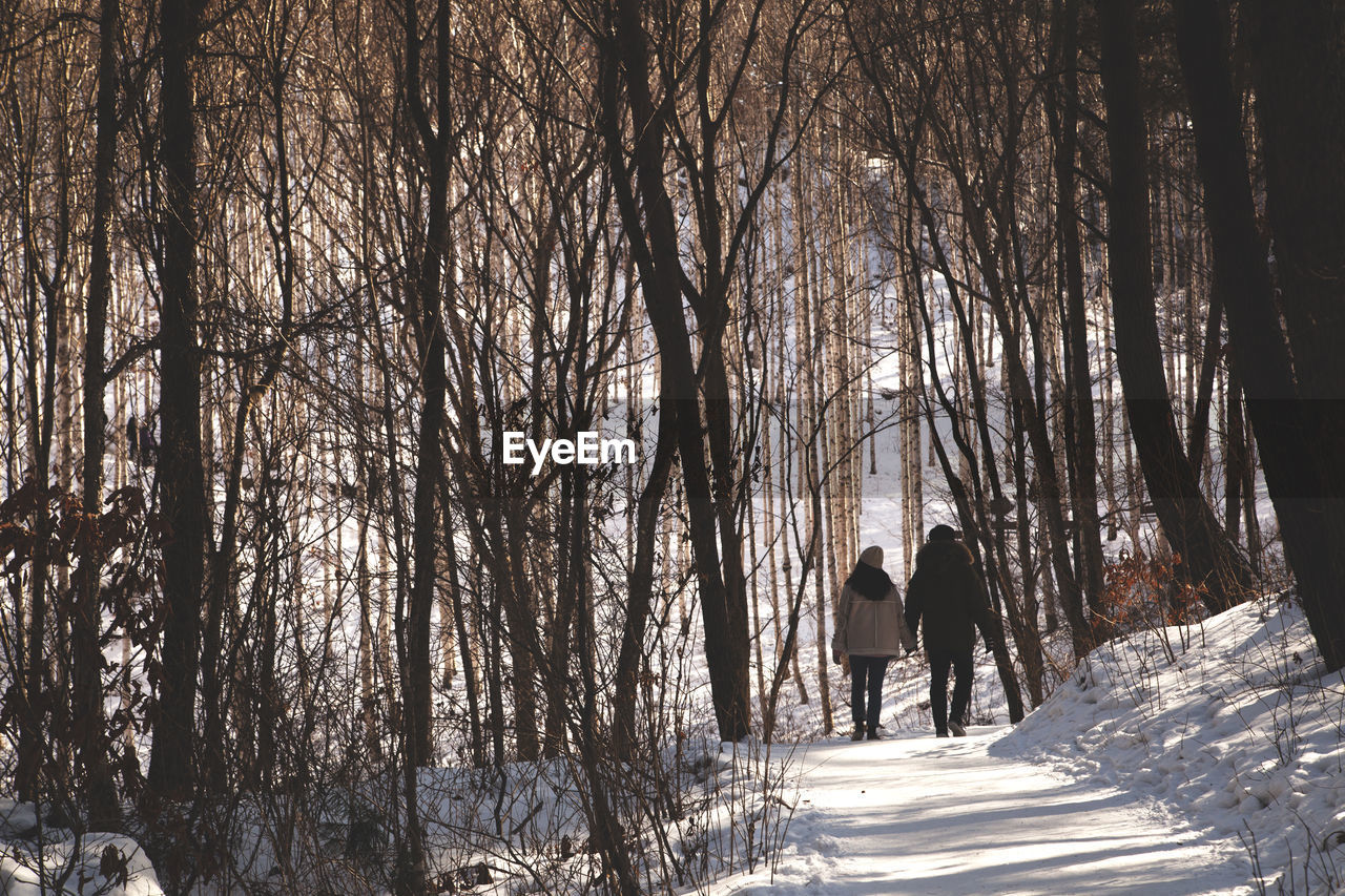 Rear view of people walking on snow covered forest