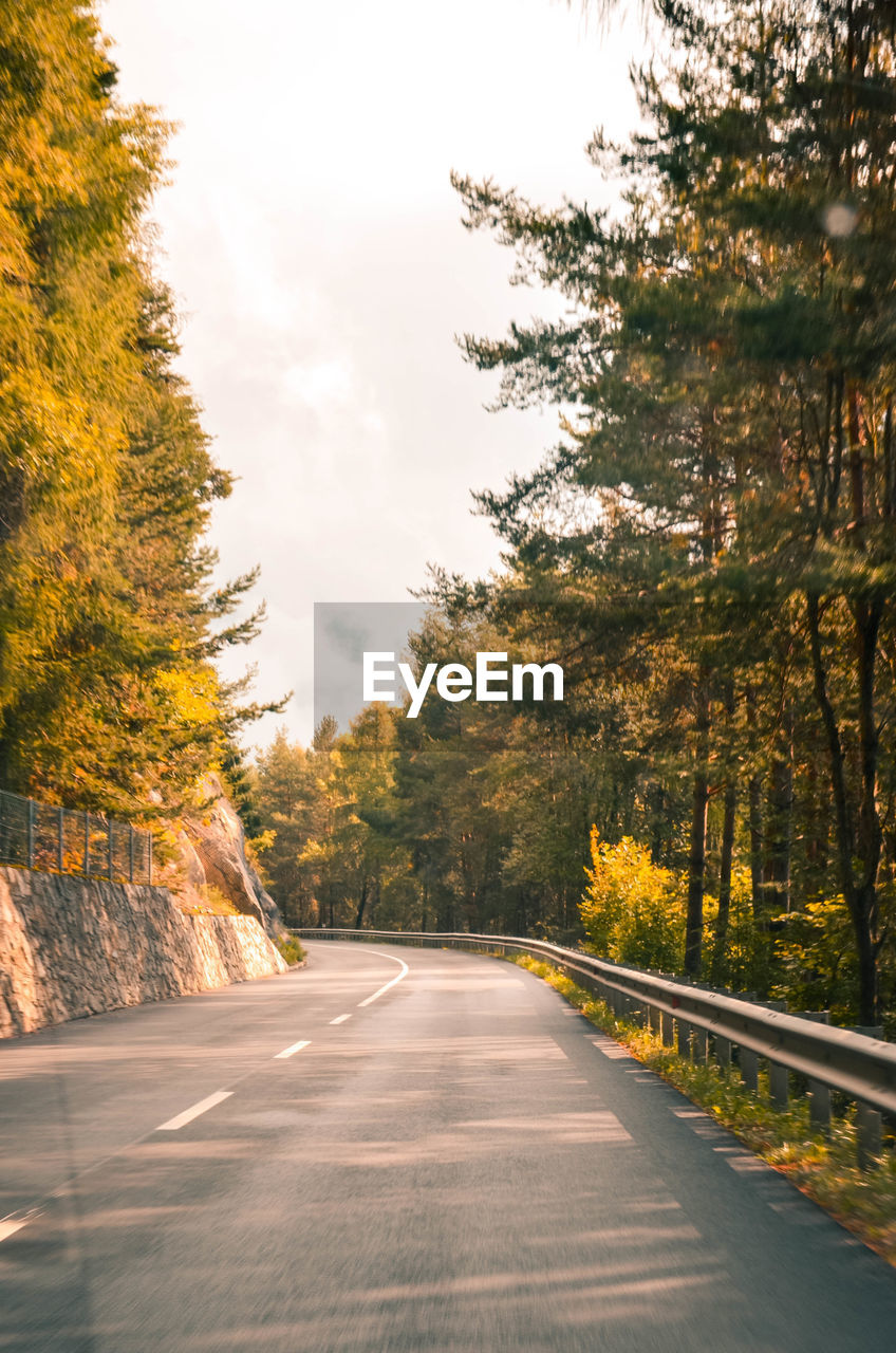 Diminishing perspective of empty road amidst trees against sky in forest