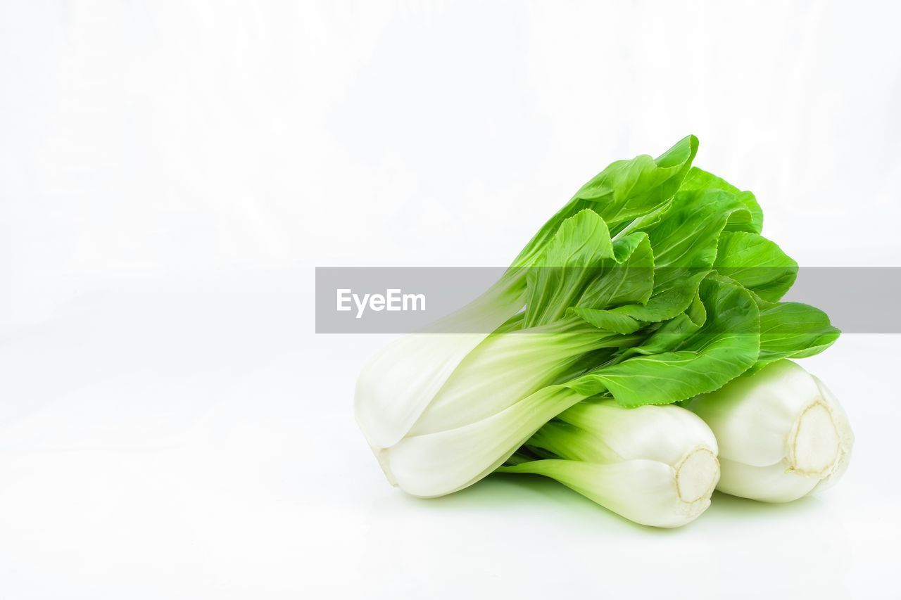 CLOSE-UP OF FRESH GREEN LEAVES WITH WHITE BACKGROUND