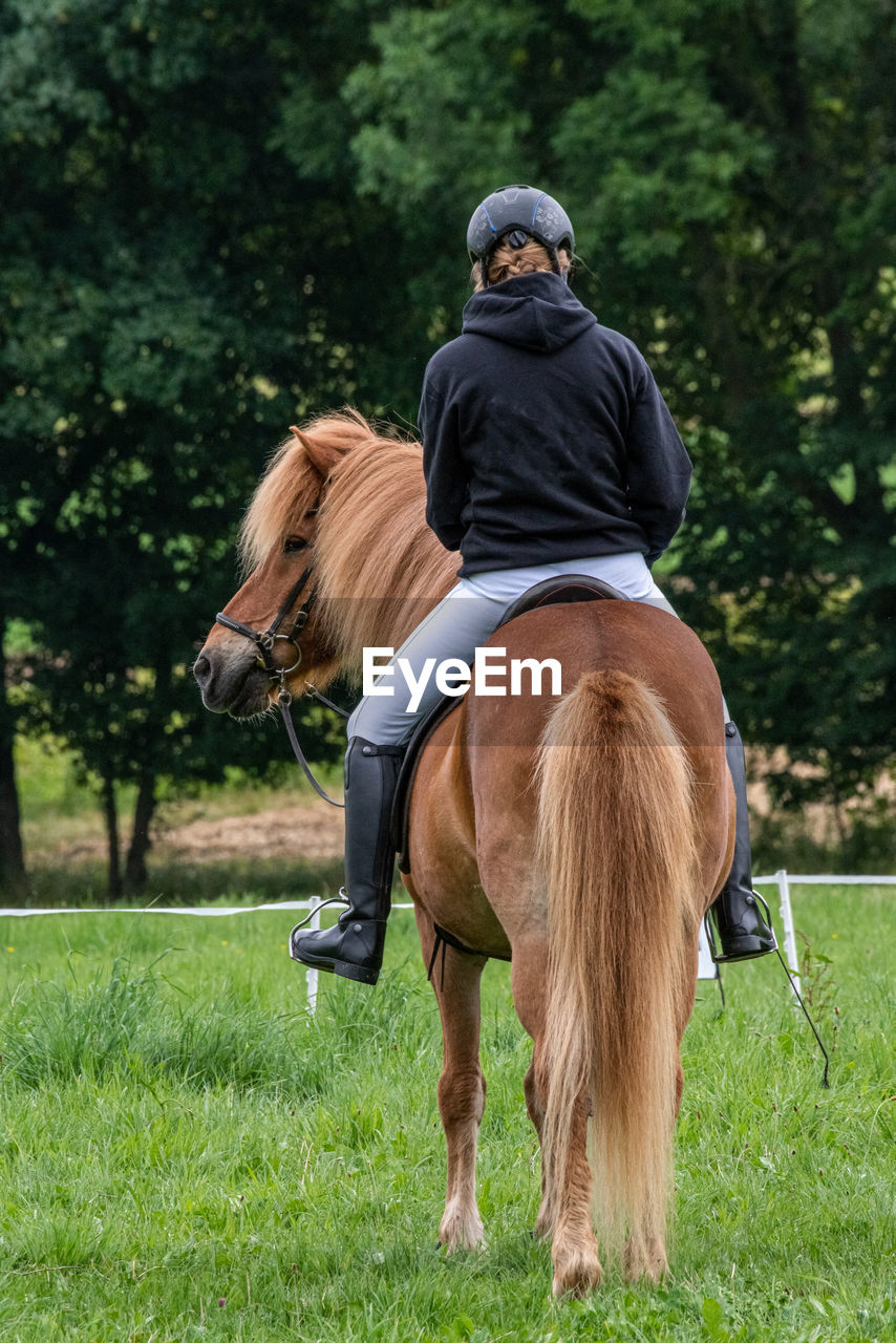 REAR VIEW OF MAN RIDING HORSE ON GRASS