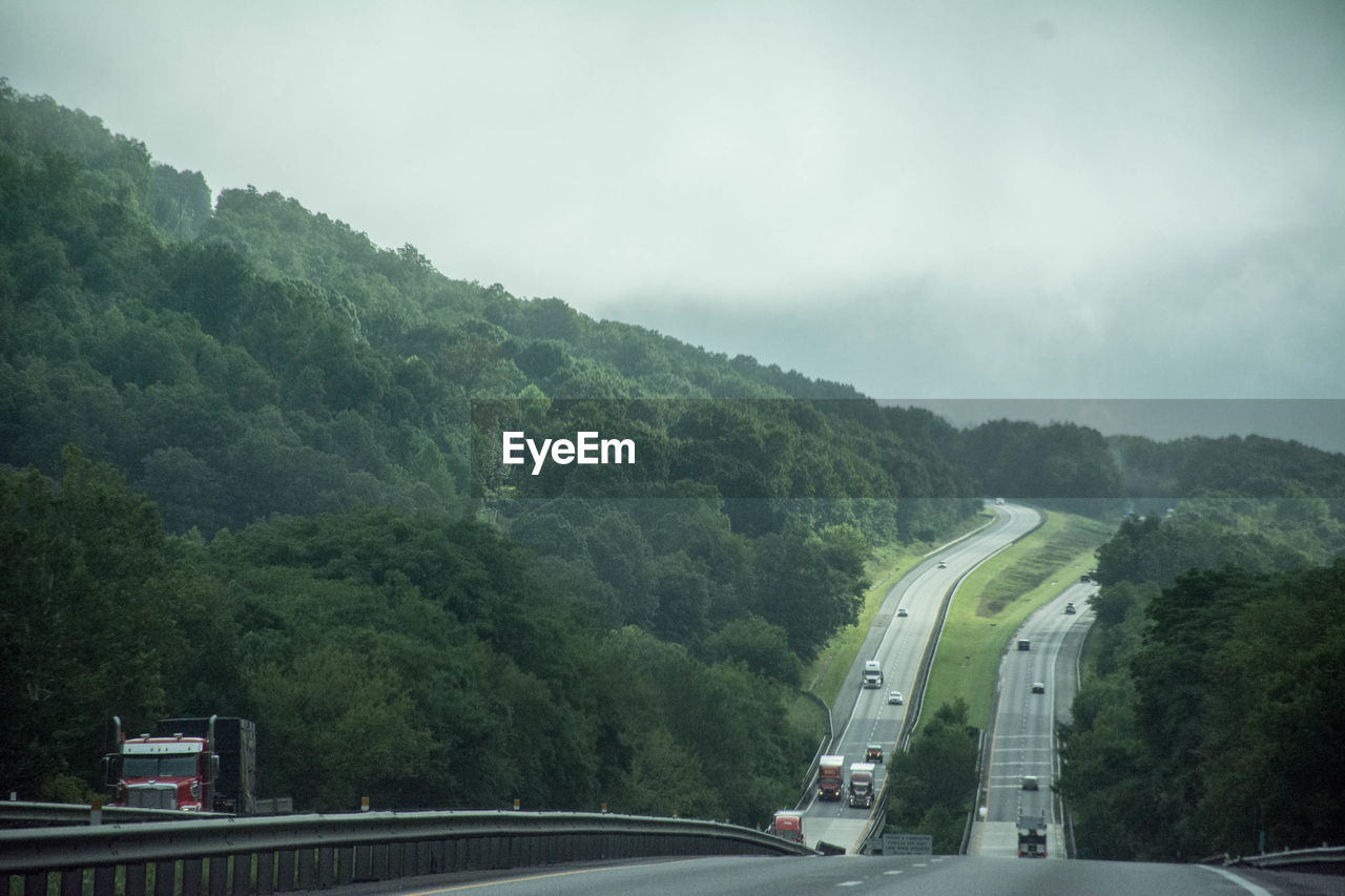 CARS ON ROAD AMIDST TREES AGAINST SKY