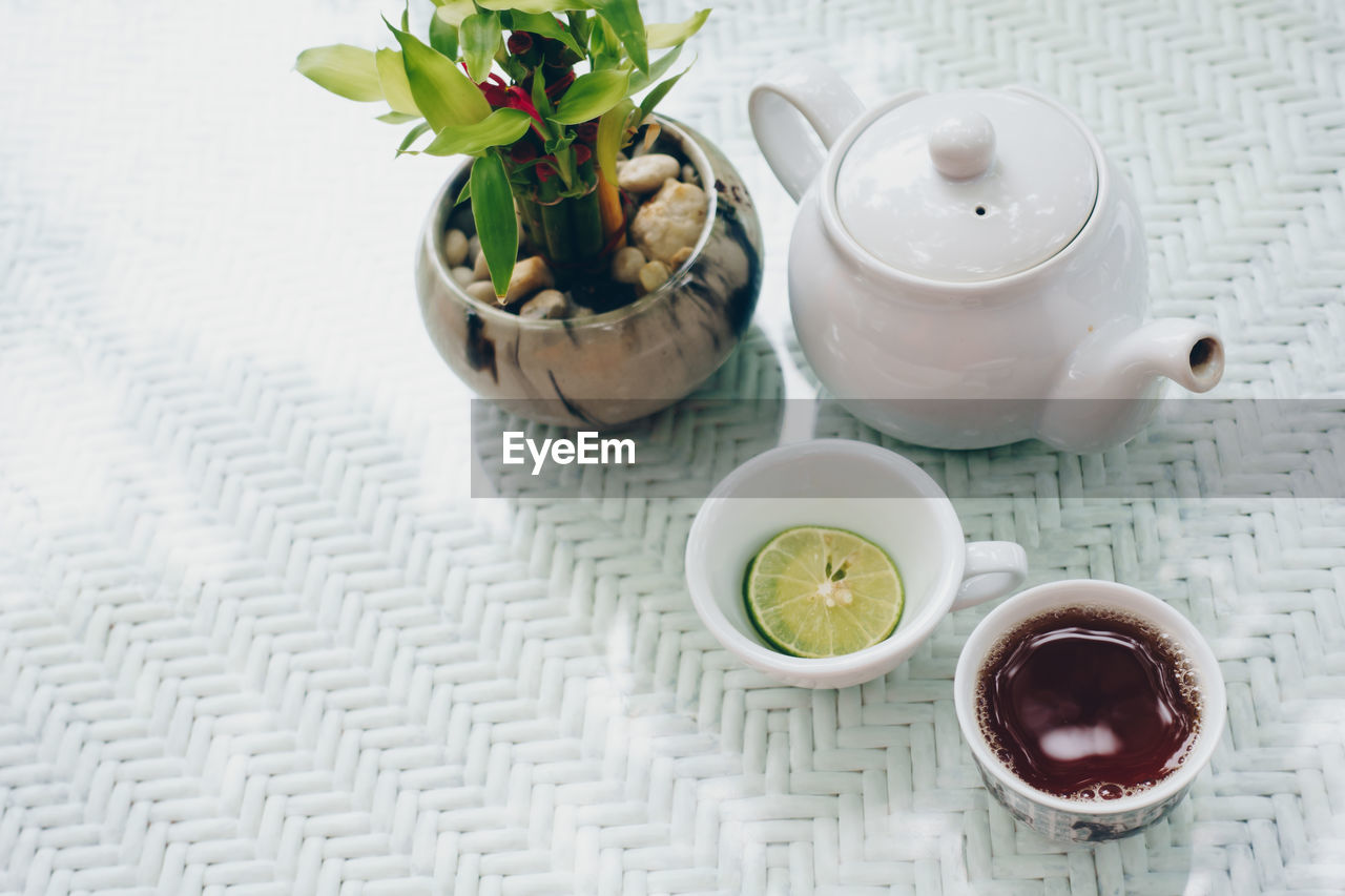 HIGH ANGLE VIEW OF POTTED PLANTS IN POT