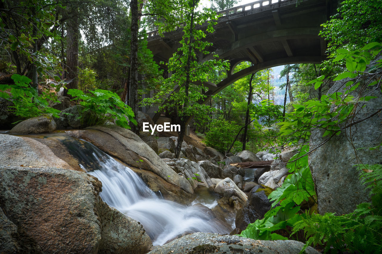 STREAM AMIDST ROCKS IN FOREST