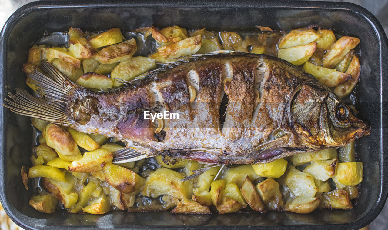 Close-up of fish in bowl