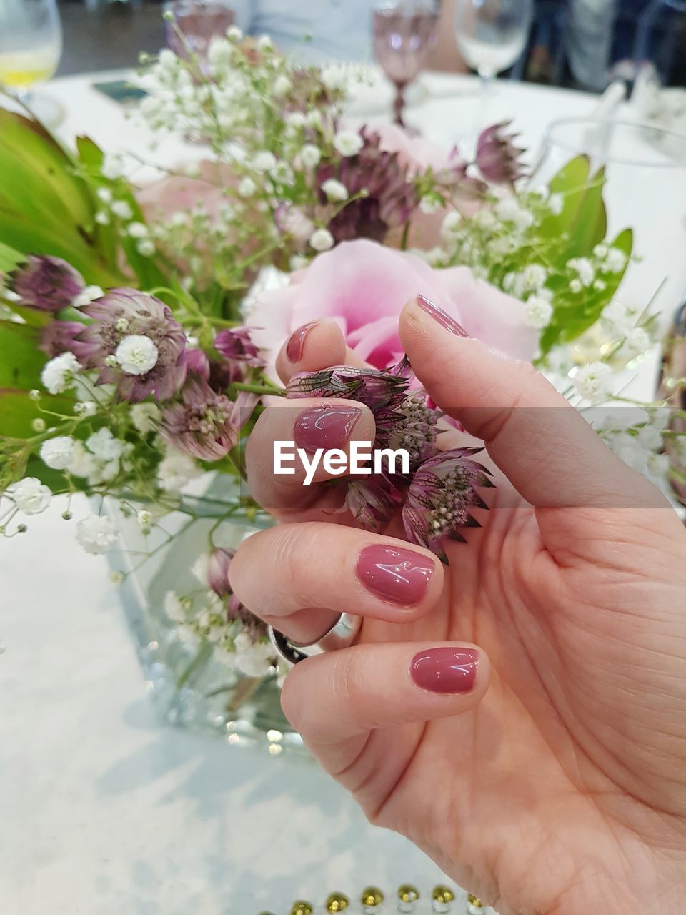 Cropped hand holding flower in vase