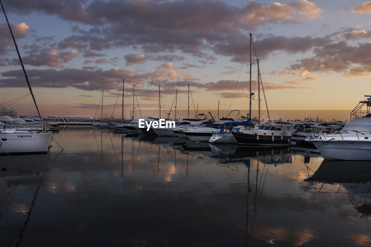 Sailboats moored at harbor against sky
