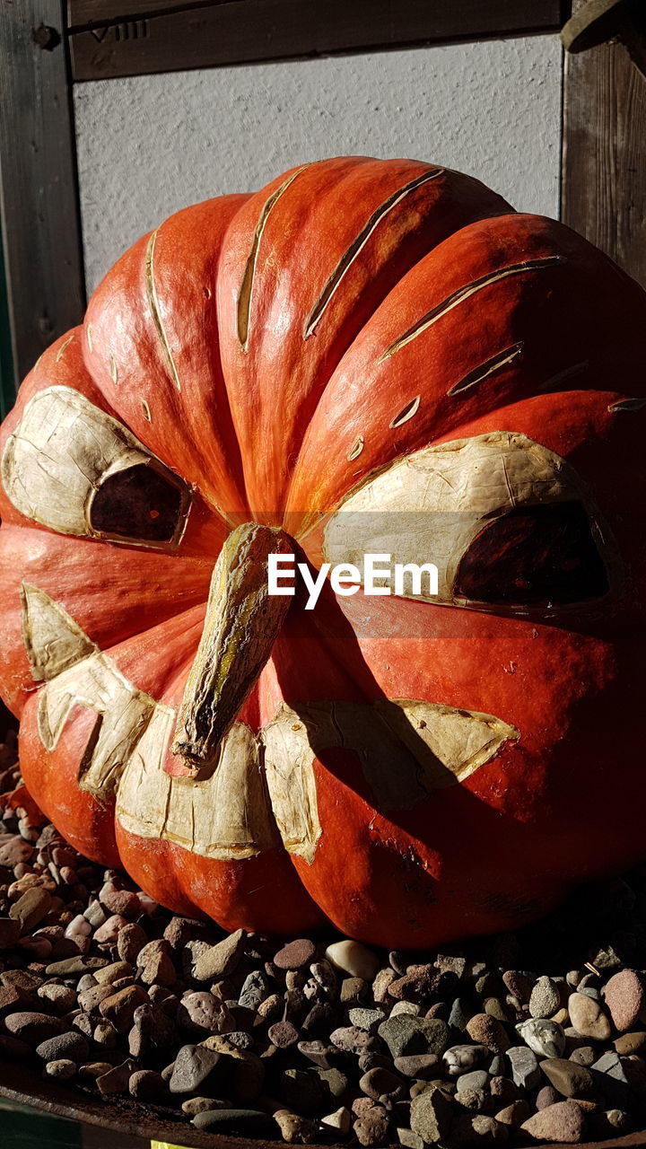 HIGH ANGLE VIEW OF PUMPKIN ON TABLE