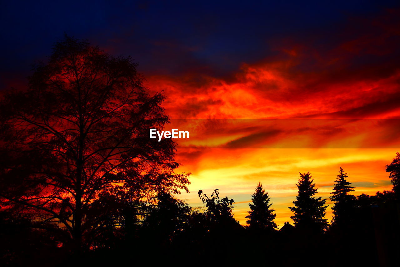 SILHOUETTE TREES AGAINST DRAMATIC SKY DURING SUNSET