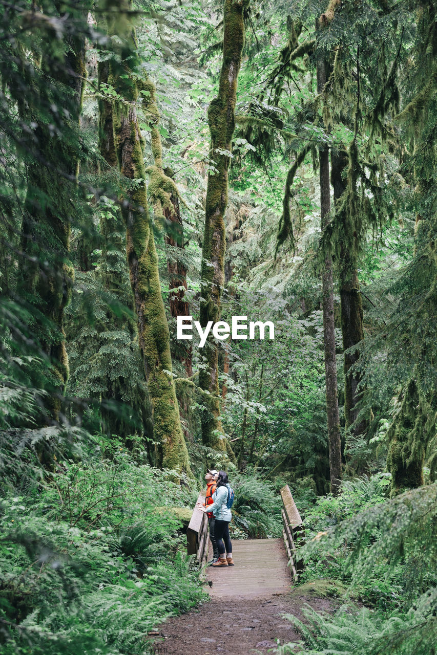 A young couple enjoys a hike in a forest in the pacific northwest.