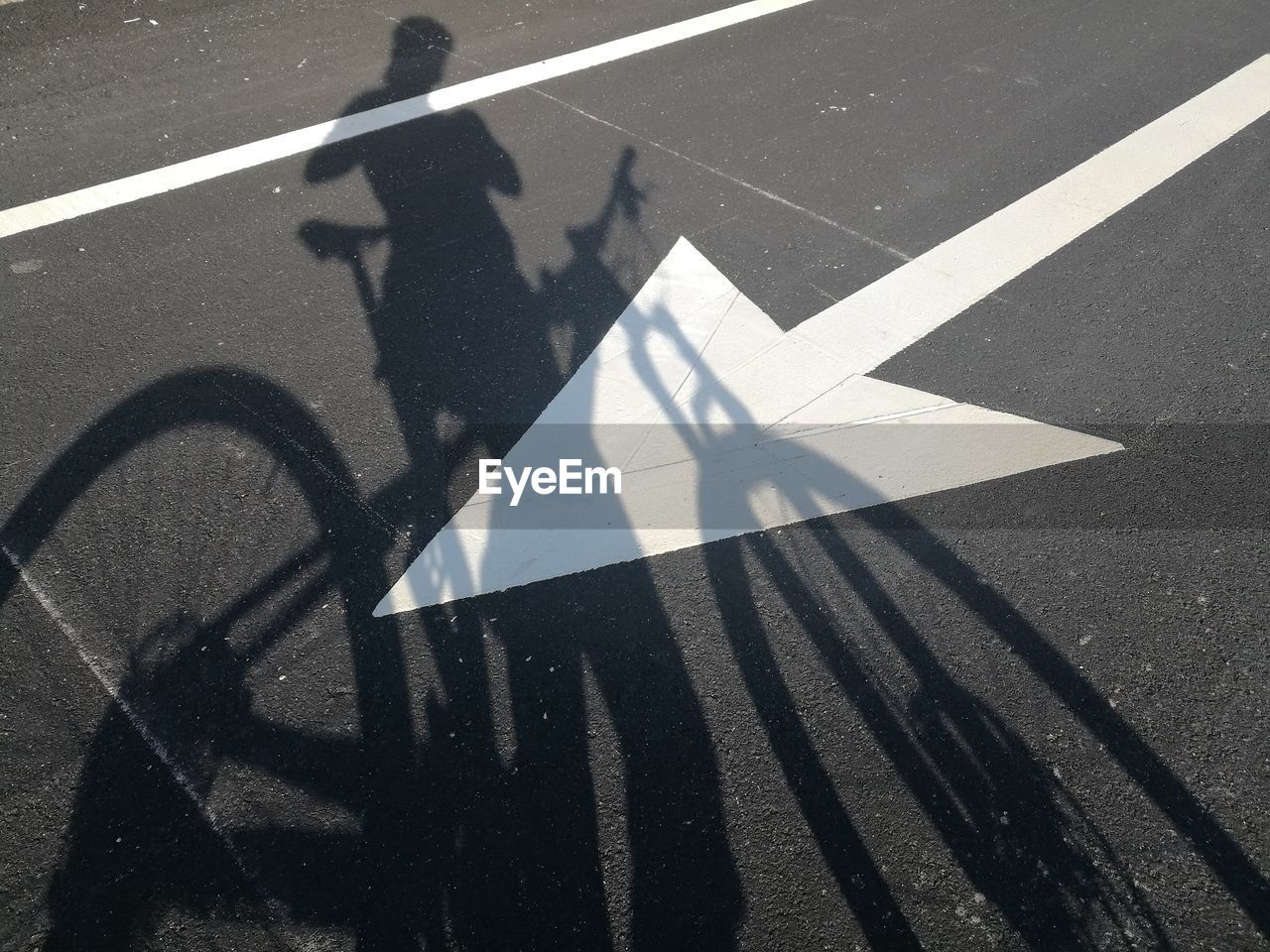 Shadow of woman with bicycle on road marking during sunny day
