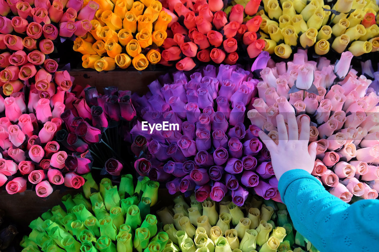 Cropped hand of girl touching colorful flowers in market