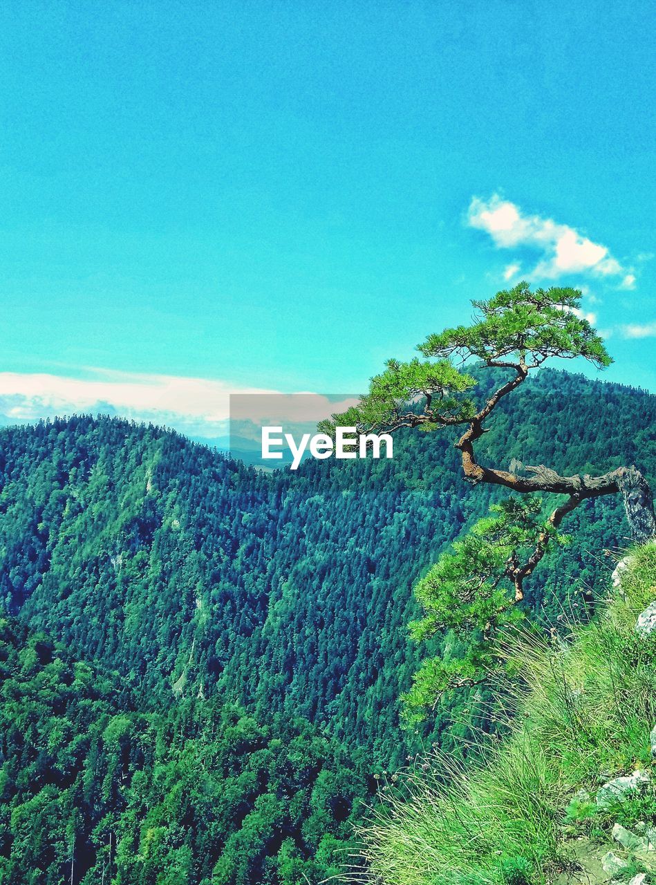 Scenic view of landscape against blue sky