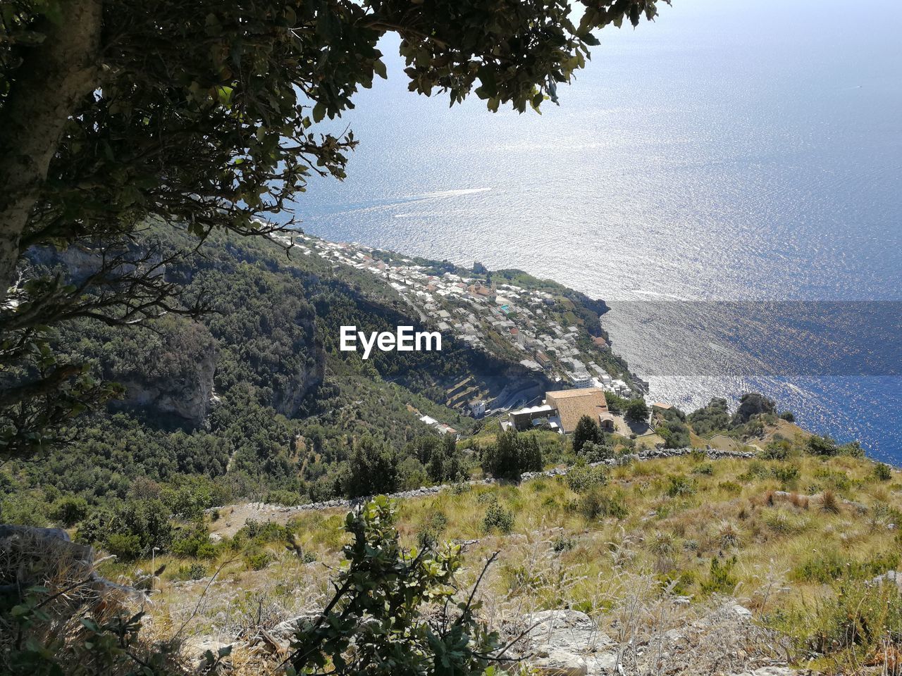 HIGH ANGLE VIEW OF TREES ON BEACH AGAINST SKY