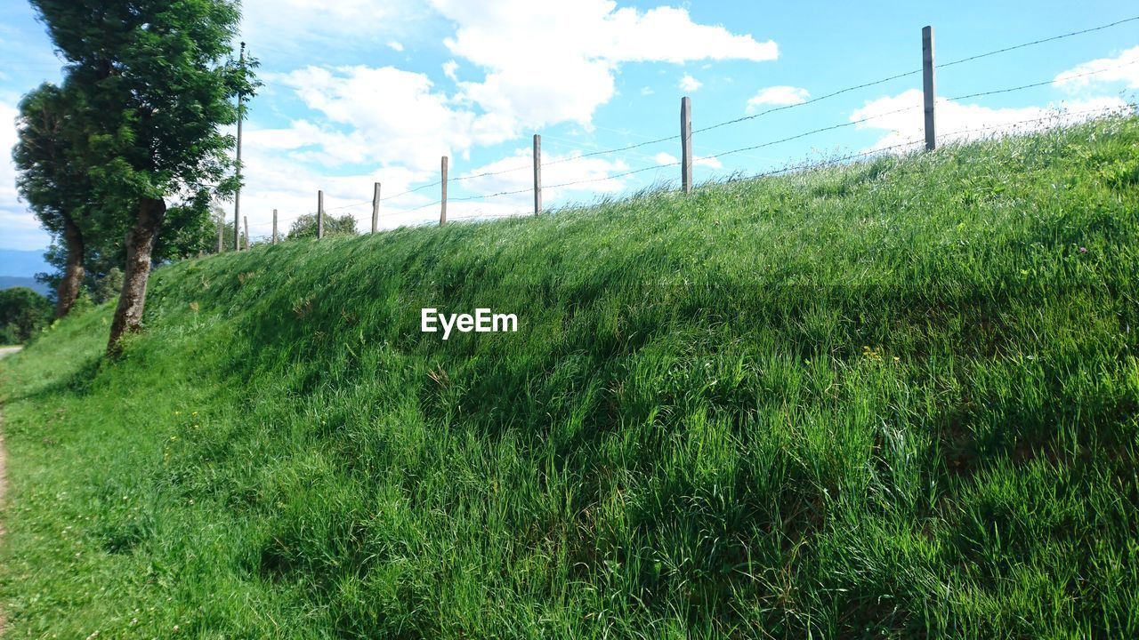Fence on grassy field against sky