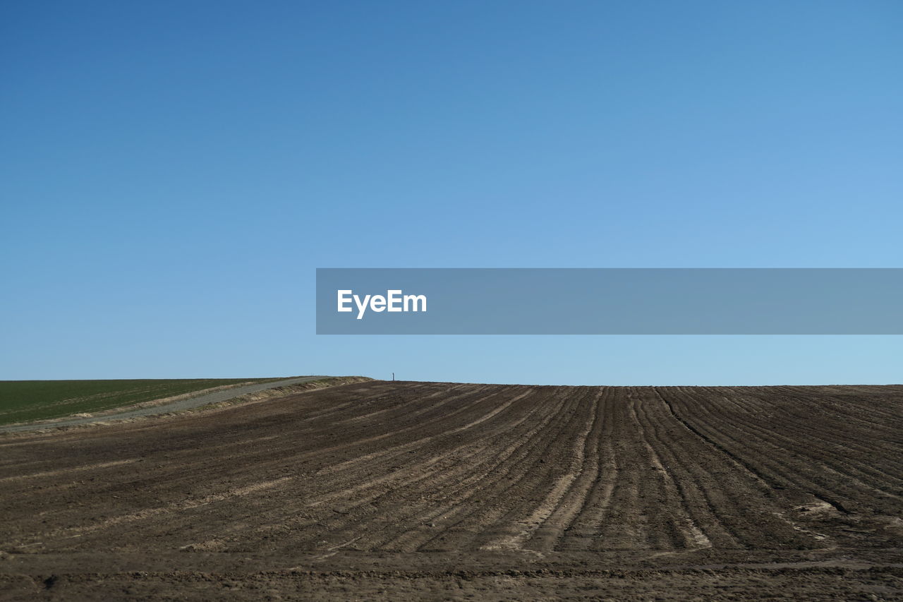 Scenic view of agricultural field against clear blue sky